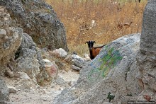 Штурм византийской крепости в 21 веке, Greece style