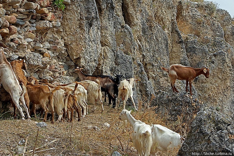 Штурм византийской крепости в 21 веке, Greece style
