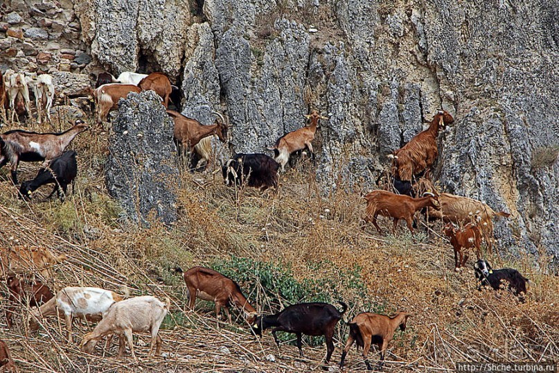 Штурм византийской крепости в 21 веке, Greece style