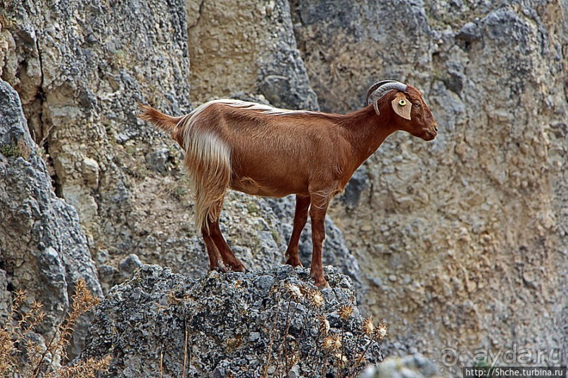 Штурм византийской крепости в 21 веке, Greece style