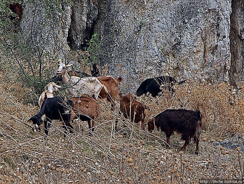 Штурм византийской крепости в 21 веке, Greece style