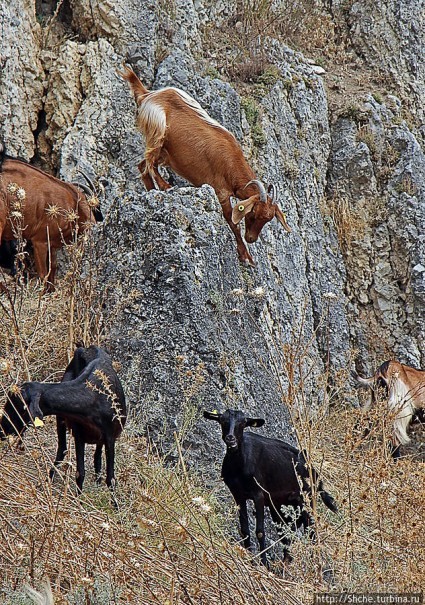 Штурм византийской крепости в 21 веке, Greece style