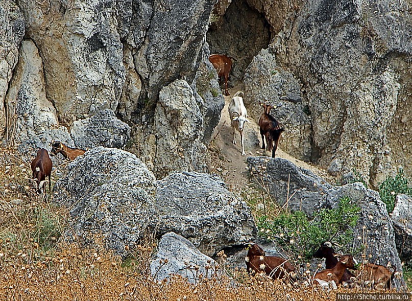 Штурм византийской крепости в 21 веке, Greece style