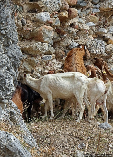 Штурм византийской крепости в 21 веке, Greece style