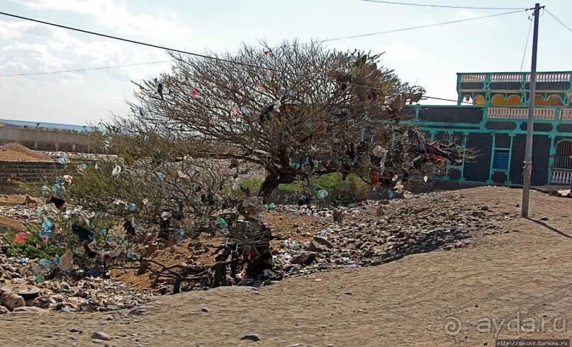 Дикиль — пустынная Пальмира Джибути