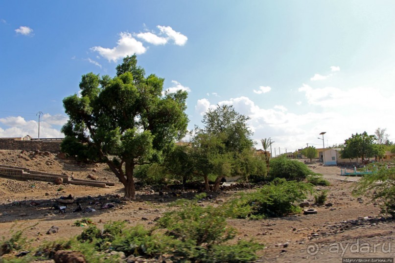 Дикиль — пустынная Пальмира Джибути