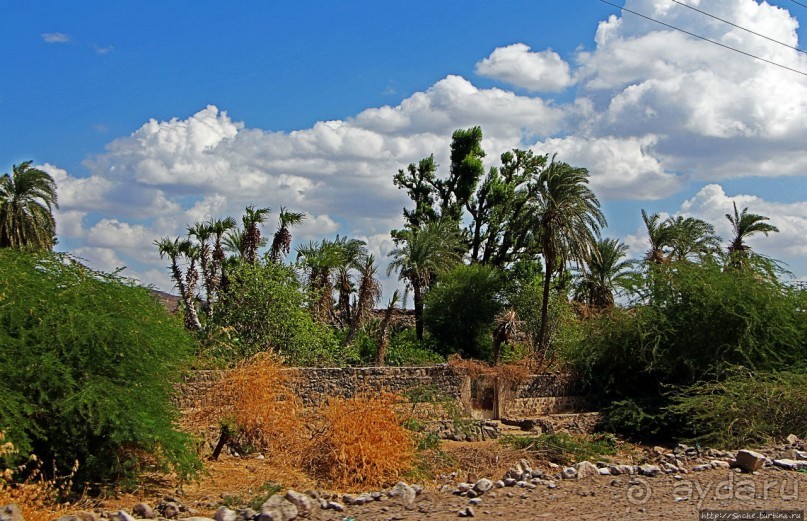 Дикиль — пустынная Пальмира Джибути