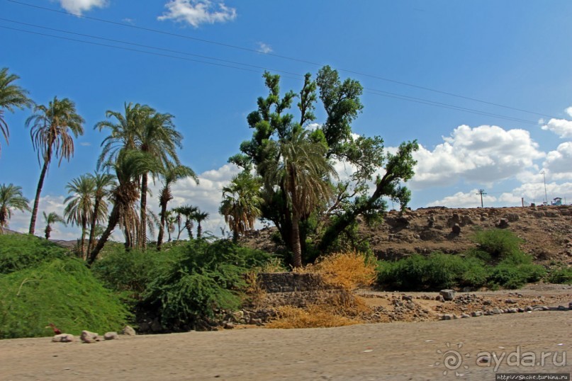 Дикиль — пустынная Пальмира Джибути