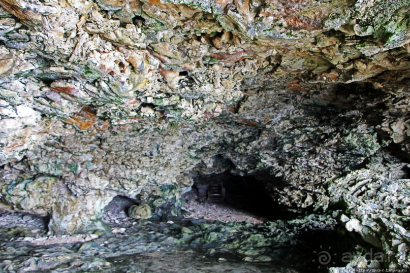 Пещеры живых цветов