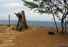 Пещеры живых цветов