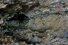 Пещеры живых цветов