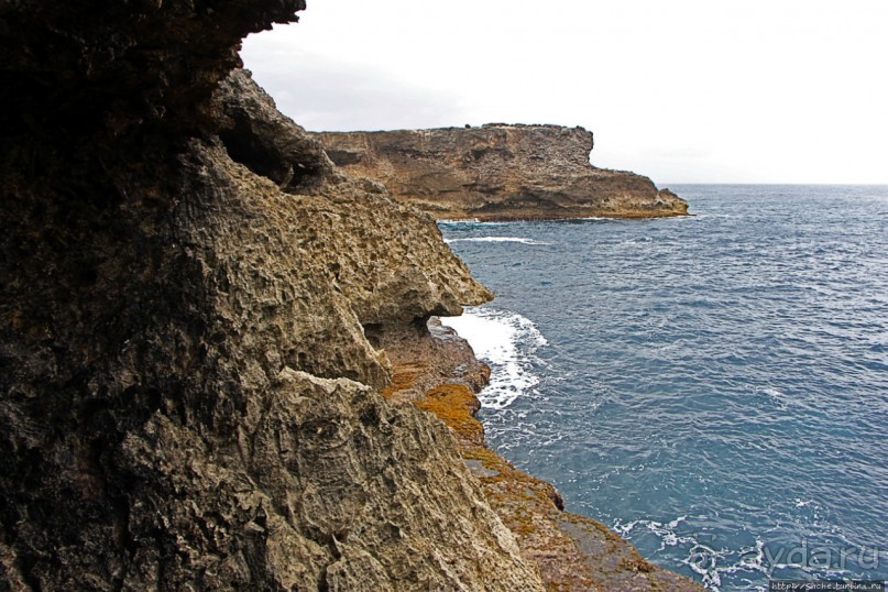 Пещеры живых цветов