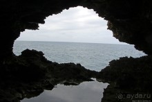 Пещеры живых цветов