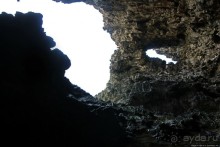 Пещеры живых цветов