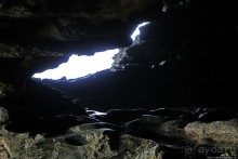 Пещеры живых цветов