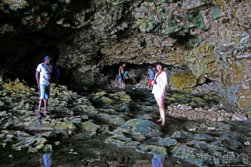 Пещеры живых цветов