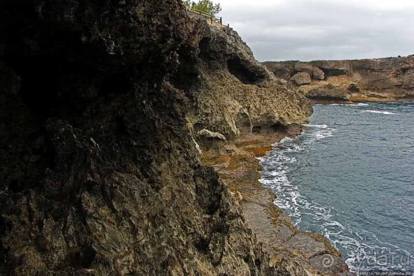Пещеры живых цветов