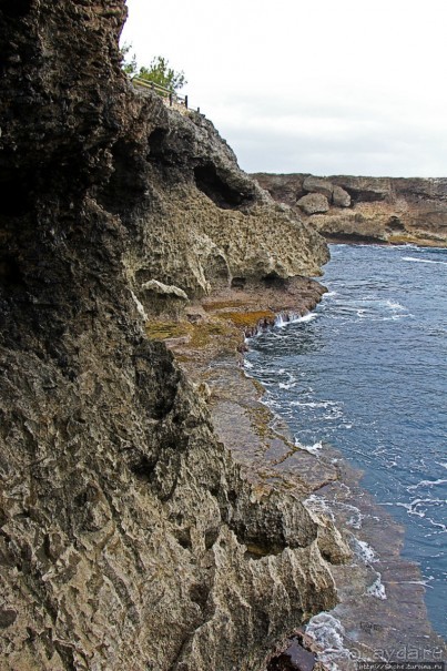 Пещеры живых цветов