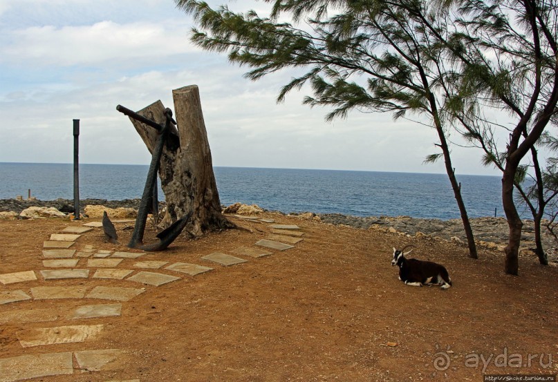 Пещеры живых цветов