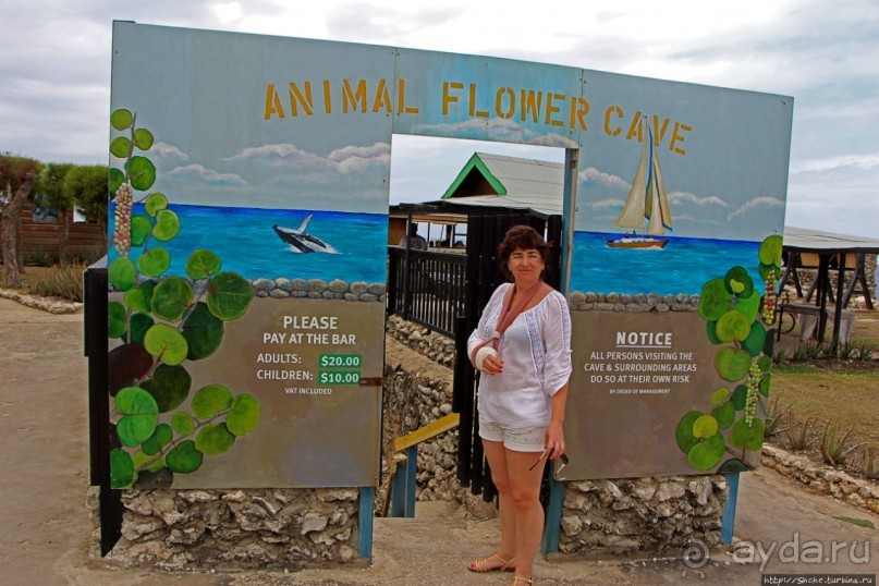 Пещеры живых цветов