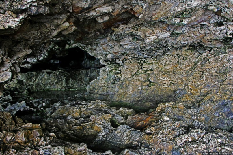 Пещеры живых цветов