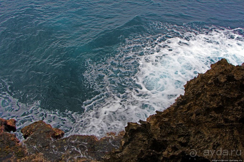Пещеры живых цветов