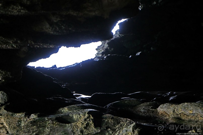 Пещеры живых цветов