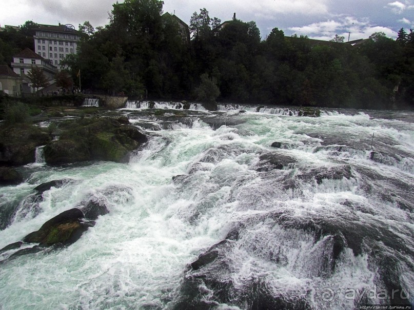 Альбом отзыва "Посреди бушующей стихии"
