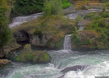 Альбом отзыва "Посреди бушующей стихии"