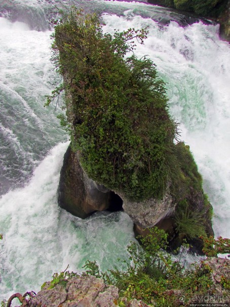Альбом отзыва "Посреди бушующей стихии"