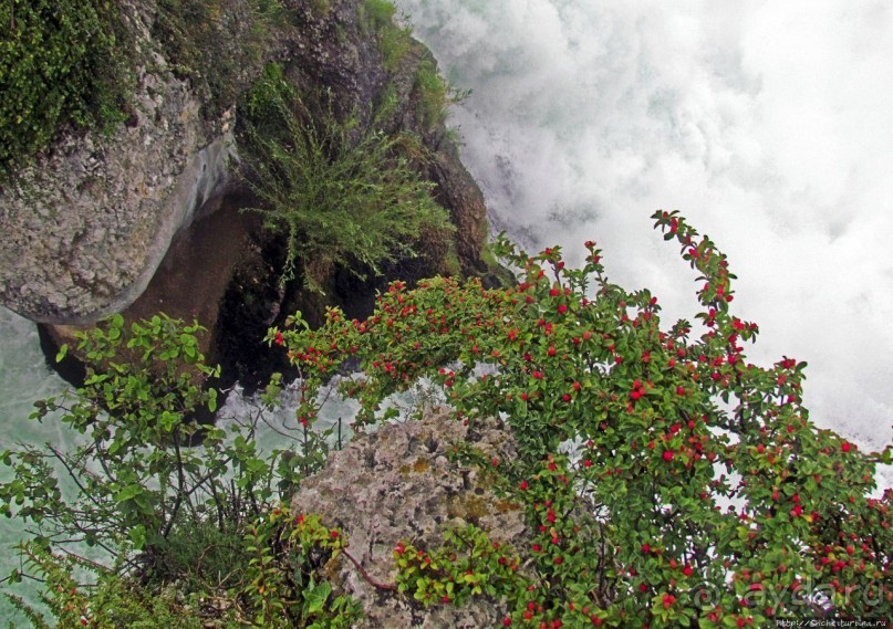 Альбом отзыва "Посреди бушующей стихии"