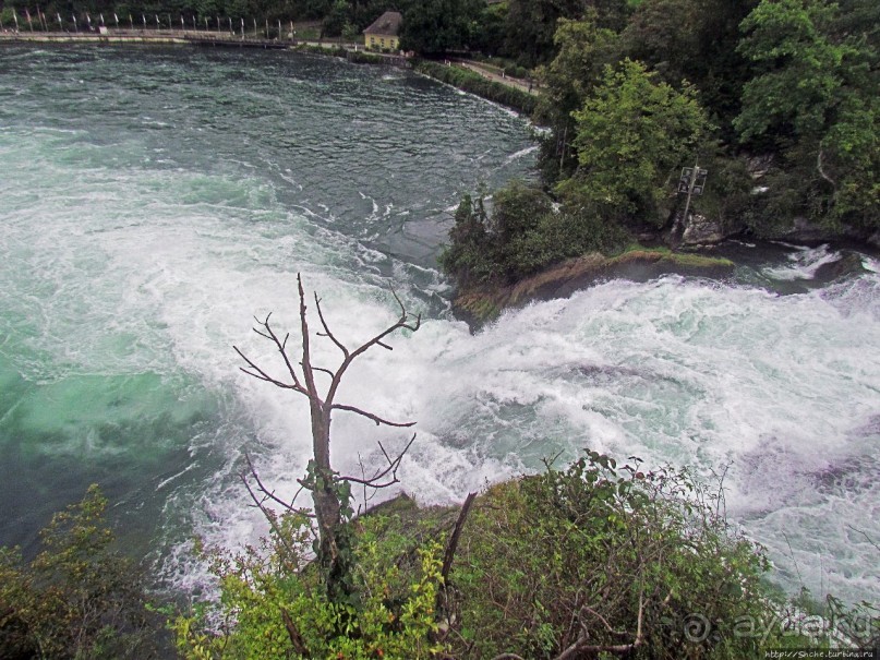 Альбом отзыва "Посреди бушующей стихии"