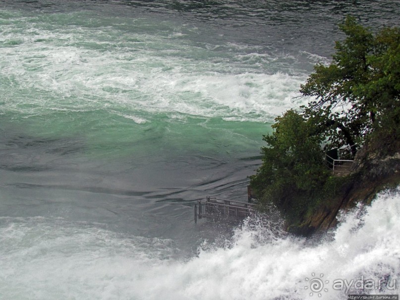 Альбом отзыва "Посреди бушующей стихии"