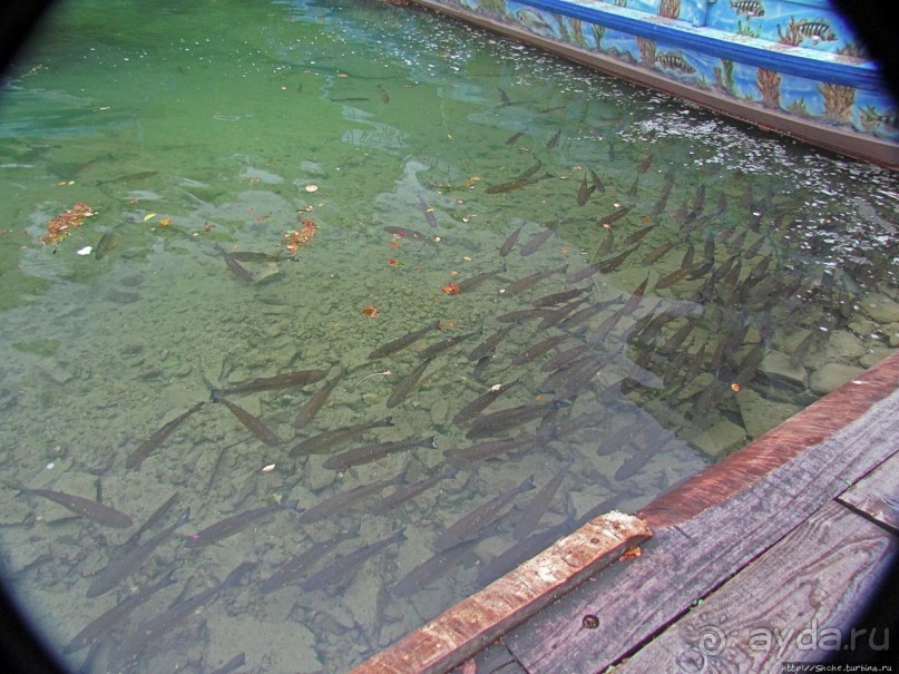 Посреди бушующей стихии