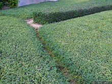 По Дубаю пешком — не вариант. Мои пешеходные потуги