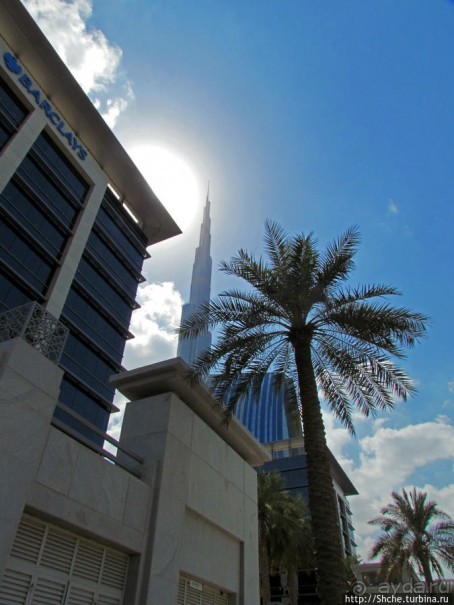 По Дубаю пешком — не вариант. Мои пешеходные потуги