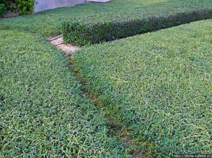 По Дубаю пешком — не вариант. Мои пешеходные потуги