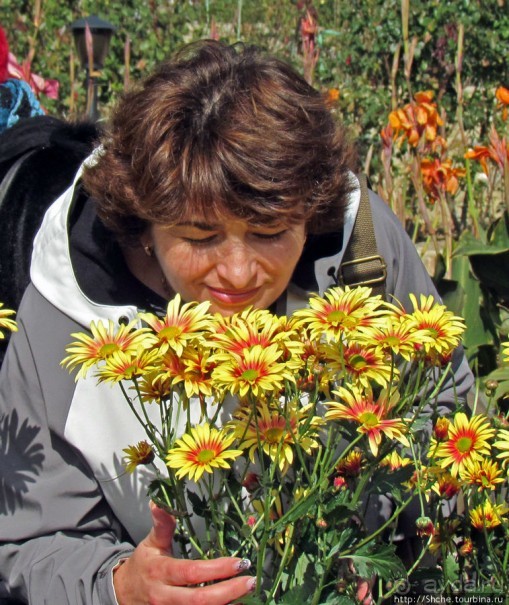 Ежегодный "Бал хризантем" в Никитском Ботаническом саду