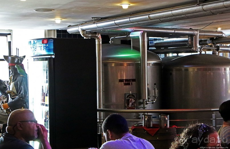 Лучшее пиво в Пуэрто Рико