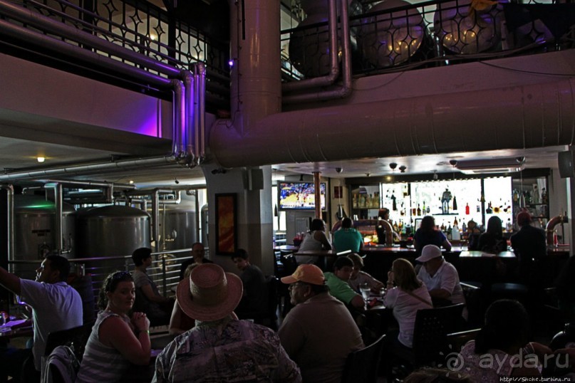 Лучшее пиво в Пуэрто Рико Лучшее пиво в Пуэрто Рико