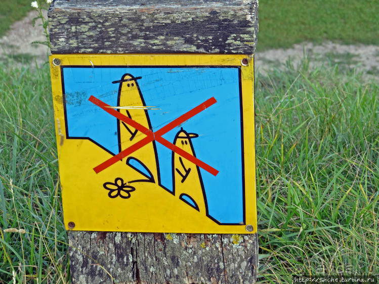 Люблю, когда все понятно без слов... Кярнаве