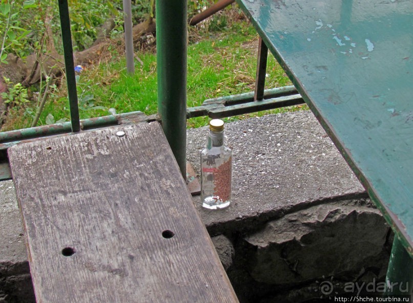 Такая разная Ливадия — дворцовая и не совсем...