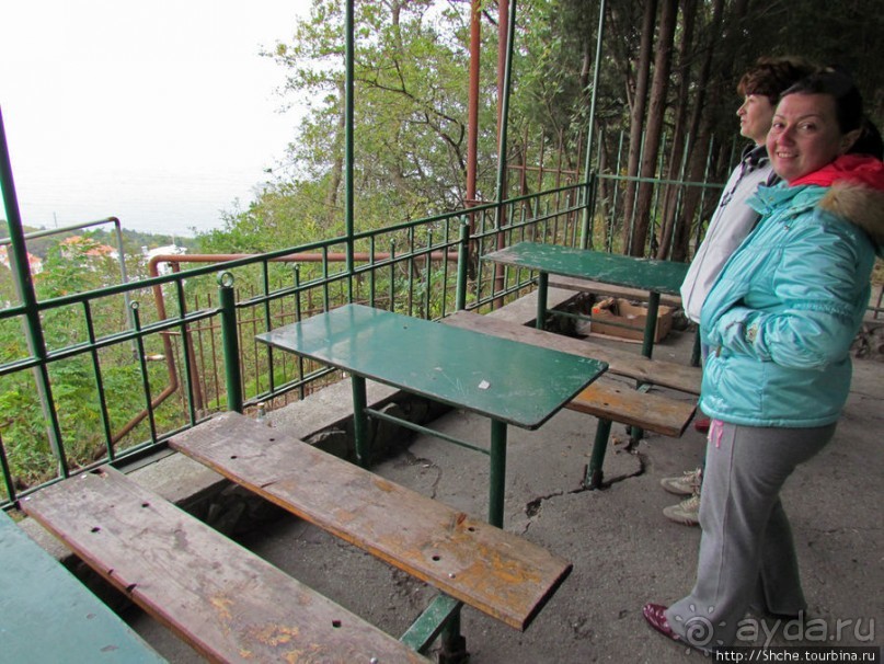 Такая разная Ливадия — дворцовая и не совсем...