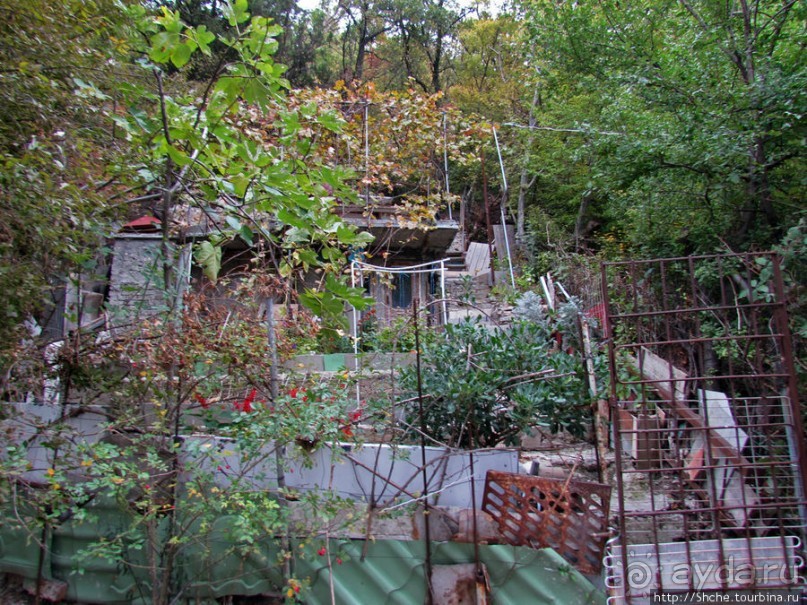 Такая разная Ливадия — дворцовая и не совсем...