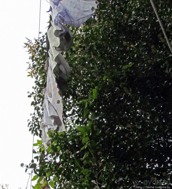 Такая разная Ливадия — дворцовая и не совсем...