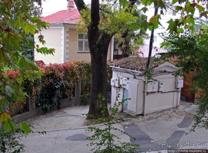 Такая разная Ливадия — дворцовая и не совсем...