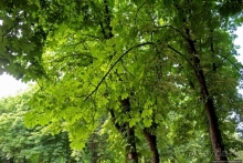 Миг между прошлым и будущим