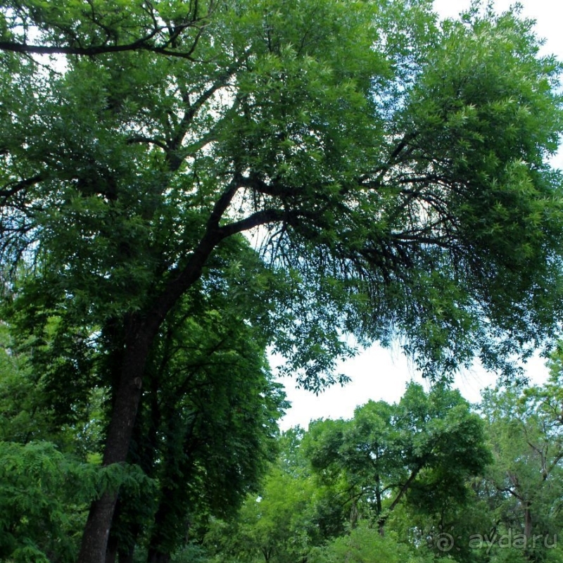 Миг между прошлым и будущим