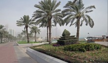 Вышла Доха из тумана