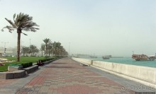 Вышла Доха из тумана